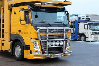 Cattleguard with net